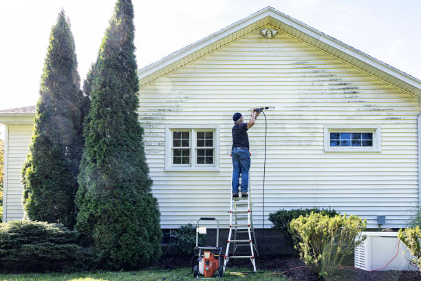 Best Building Exterior Washing  in Campbell, FL
